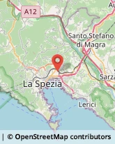 Articoli per Ortopedia,54035La Spezia