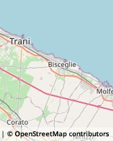 Oli Alimentari e Frantoi,70056Bari