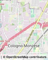 Via Francesco Petrarca, 31,20093Cologno Monzese