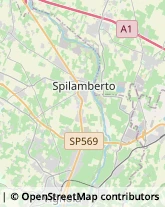 Via Provinciale Vignola-Sassuolo, 315/1,41057Spilamberto