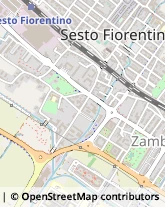 Legname da Costruzione,50019Firenze