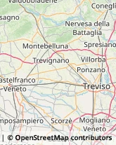 Via delle Absidi, 14,31100Treviso