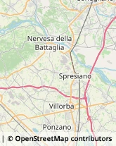 Assicurazioni,31058Treviso