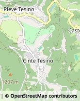 Istituti di Bellezza,38050Trento