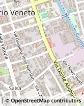 Via Scrizzi, 99,31029Vittorio Veneto