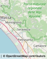 Viale Roma, 215,55045Pietrasanta