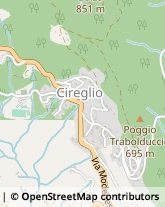 Via Castel di Cireglio, 77,51100Pistoia