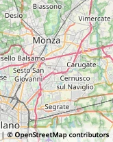 Via Antonio Cantore, 25,20900Monza