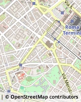 Via Merulana, 259,00185Roma