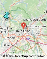 Scultori d'Arte - Studi,24030Bergamo