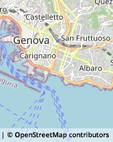 Importatori ed Esportatori,16121Genova