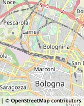 Via Irnerio, 20,40126Bologna