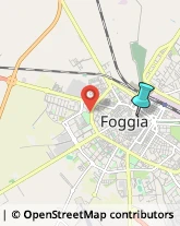 Bingo,71100Foggia