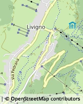 Via Plan, 151/C,23030Livigno