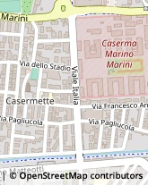 Viale Italia, 46,51100Pistoia