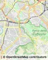 Via Prospero Alpino, 80,00154Roma