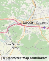 Via Lidice, 7,56017San Giuliano Terme