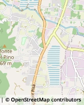 Via di Sottomonte, 53,55100Lucca