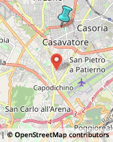 Palestre e Centri Fitness,80020Napoli