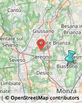 Organizzazioni, Associazioni ed Enti Internazionali,20853Monza e Brianza