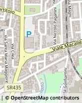 Viale Macallè, 14,51100Pistoia