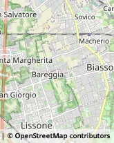 Istituti di Bellezza,20846Monza e Brianza