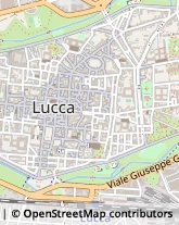 Via S. Nicolao, 65,55100Lucca