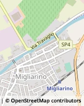 Via Travaglio, 141,44027Migliarino