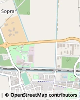 Via Dell'artigianato, 14,33050Torviscosa