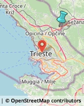 Spedizioni Marittime, Aeree e Terrestri,34016Trieste