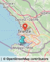 Spedizioni Marittime, Aeree e Terrestri,34015Trieste