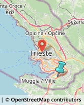 Spedizioni Marittime, Aeree e Terrestri,34018Trieste