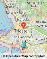 Spedizioni Marittime, Aeree e Terrestri,34145Trieste