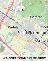 Via Lino Chini, 98,50019Sesto Fiorentino