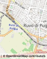 Via Solferino, 10,70037Ruvo di Puglia