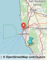 Agenzie di Animazione e Spettacolo,57128Livorno