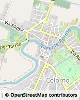 Macellerie,43052Parma