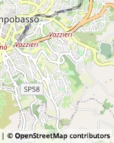 Via Luigi Pirandello, 45,86100Campobasso