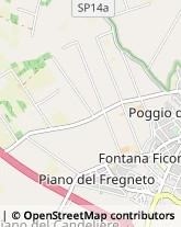 via Quarto del Boschetto, 15,00052Cerveteri