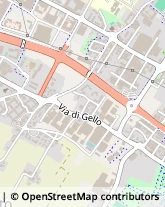 Via Di Gello, 64,59100Prato