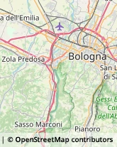 Associazioni e Federazioni Sportive,40131Bologna