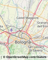 Via Decumana, 22,40133Bologna