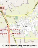 Corso Vittorio Emanuele, 232,70019Triggiano