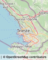 Località Basovizza, 20,34012Trieste