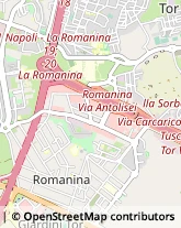 Via Giuseppe Gregoraci, 64,00172Roma