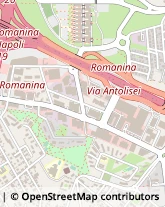 Via Francesco Antolisei, 6,00173Roma