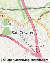 Via Filippo Corridoni, 116,00030San Cesareo