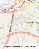 Viale delle Rose, 64,08100Nuoro