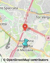 Abbigliamento,00100Roma