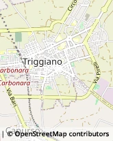 Via Virgilio, 171/C,70019Triggiano